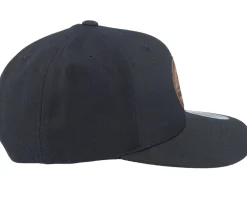Mountain And Eagle Brown Patch Black Snapback - Wild Spirit