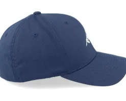 Mountain 3d White/Navy Flexfit - Wild Spirit