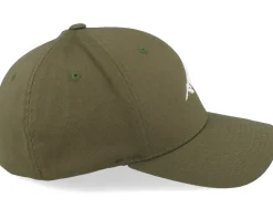 Mountain 3d White/Olive Flexfit - Wild Spirit