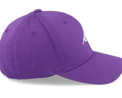 Mountain 3d White/Purple Flexfit - Wild Spirit