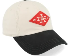 New Timer Stone/Black Dad Cap - American Needle