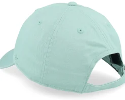 New York Yankees Clean Up Eucalyptus Dad Cap - 47 Brand