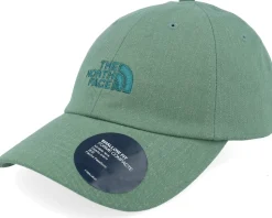 Norm Hat Duck Green Deep Dad Cap - The North Face