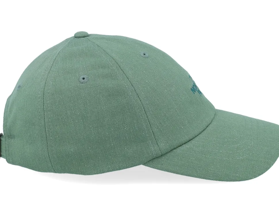 Norm Hat Duck Green Deep Dad Cap - The North Face