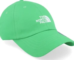 Norm Hat Optic Emerald Dad Cap - The North Face