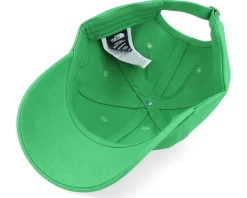 Norm Hat Optic Emerald Dad Cap - The North Face