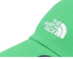 Norm Hat Optic Emerald Dad Cap - The North Face