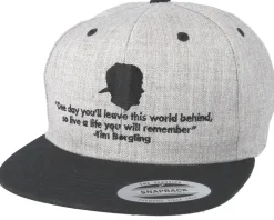 One Day Grey Snapback - Iconic