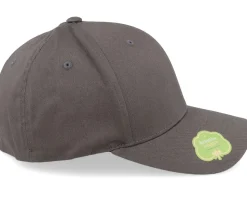 Organic Cotton Dark Grey Flexfit - Flexfit