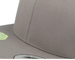 Organic Cotton Palegrey Snapback - Yupoong