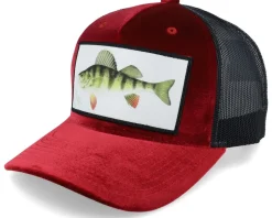 Perch Fishing Velvet Black Trucker - Skillfish
