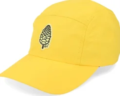 Pinecone Runner Strapback Gold 5-Panel - Northern Hooligans