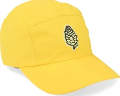 Pinecone Runner Strapback Gold 5-Panel - Northern Hooligans