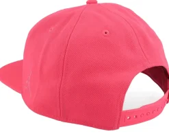 Pro Cap Aster Pink/Sail Snapback - Jordan