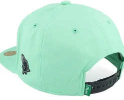 Pro Fishing Trout Teal Sustainable Snapback - Skillfish
