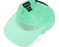 Pro Fishing Trout Teal Sustainable Snapback - Skillfish