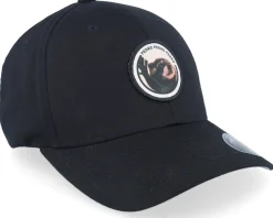 Raccoon Pedro Round Patch Black Flexfit - Scenes