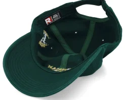 Risk Management Department Dark Green Dad Cap - Iconic