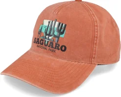 Saguaro Trailhead Oxide Dad Cap - American Needle