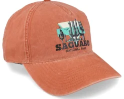 Saguaro Trailhead Oxide Dad Cap - American Needle