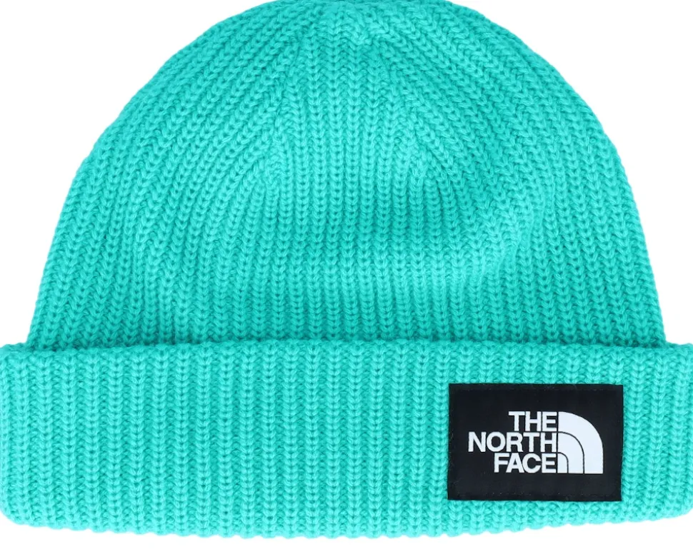 Salty Dog Apres Blue Short Beanie - The North Face
