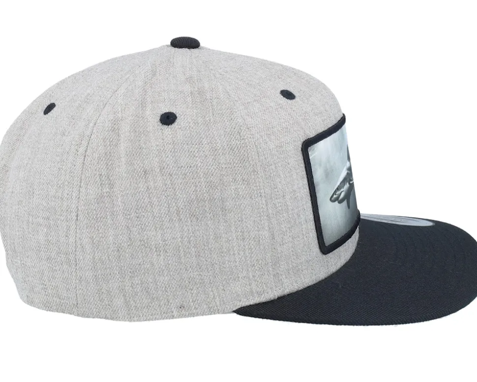 Shark Big Patch Heather Grey/Black Snapback - Calza Pennello