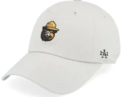 Smokey Bear Micro Slouch Stone Dad Cap - American Needle