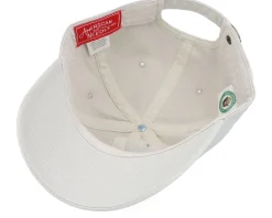 Smokey Bear Micro Slouch Stone Dad Cap - American Needle