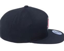 Stigma Lasher Pitbull Applique Black Snapback - Iconic