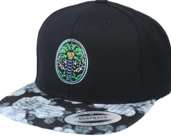 Summer Magic Palm Tree Black/Rose Grey Snapback - Iconic