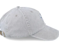 Swallow Bird Embroidery Grey Dad Cap - Wild Spirit