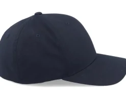 Swedish Dammsugare Punsch-Roll Black Flexfit - Iconic