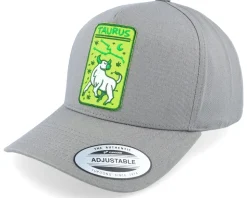 Taurus Horoscope Grey/Neon A-frame Adjustable - Iconic