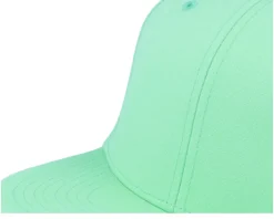 Teal Sustainable Snapback - Park