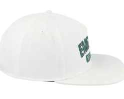 Team Stay Gold White Snapback - Emerica