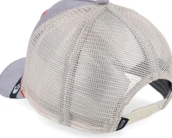 The Arena Grey Trucker - Goorin Bros.