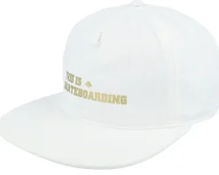 This Is Skateboarding White Snapback - Emerica