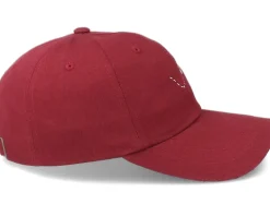 Tiny Paper Plane Maroon Dad Cap - Abducted