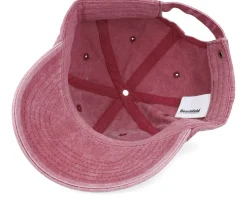 Tiny Rainbow Trout Fish Vintage Washed Red Dad Cap - Skillfish