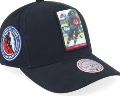 Toronto Maple Leafs Player Pro Crown Mats Sundin A-frame Adjustable - Mitchell & Ness