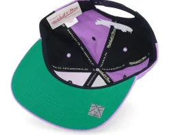 Toronto Raptors Pinwheel Of Fortune Purple/Black Snapback - Mitchell & Ness