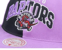 Toronto Raptors Pinwheel Of Fortune Purple/Black Snapback - Mitchell & Ness
