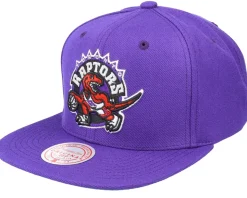Toronto Raptors Team Ground 2.0 Purple Snapback - Mitchell & Ness