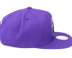 Toronto Raptors Team Ground 2.0 Purple Snapback - Mitchell & Ness