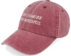 Very Demure Very Mindful Washed Red Dad Cap - Scenes