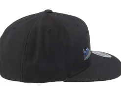 Waveform Black Snapback - Iconic