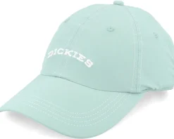 Wilsall Cap Iceberg Green Dad Cap - Dickies
