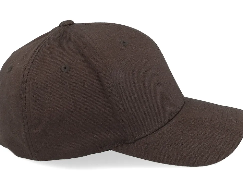 Windrose Mountain Brown Patch Brown Flexfit - Wild Spirit