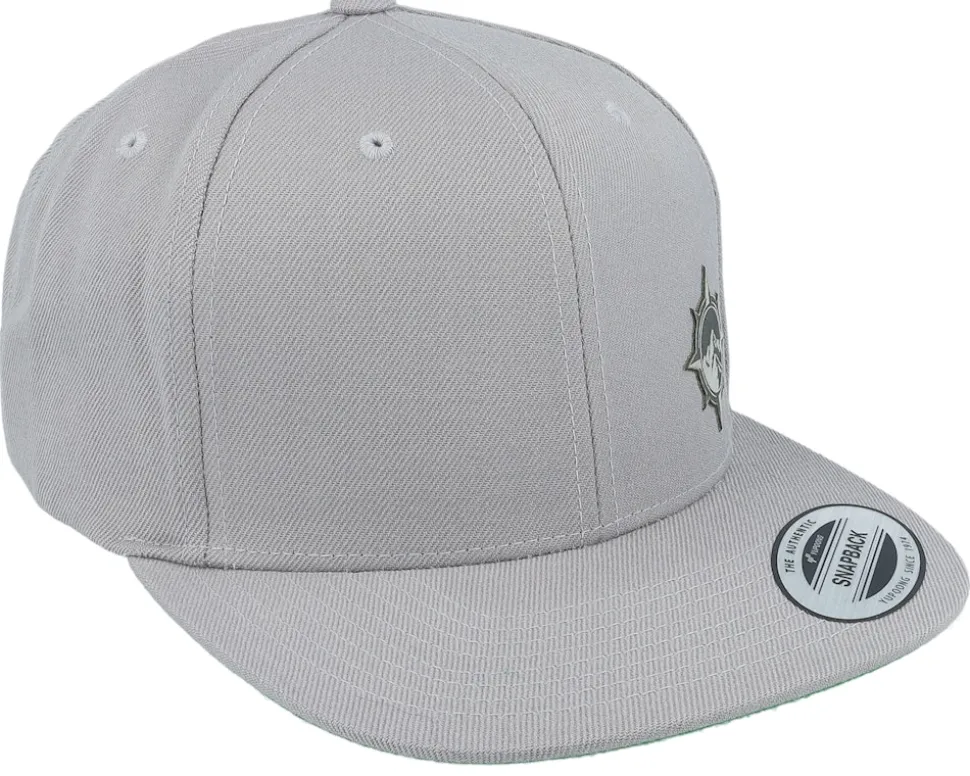 Windrose Mountain Grey Patch Silver Snapback - Wild Spirit
