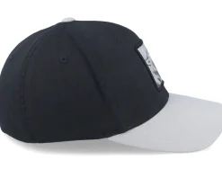 Wolf Silver Patch Black/Silver Flexfit - Iconic